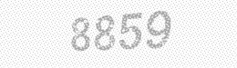 Visual security code — type the characters shown in the image